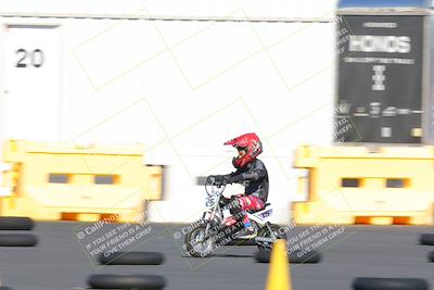 media/Nov-06-2022-SoCal Trackdays (Sun) [[208d2ccc26]]/Around the Pits/